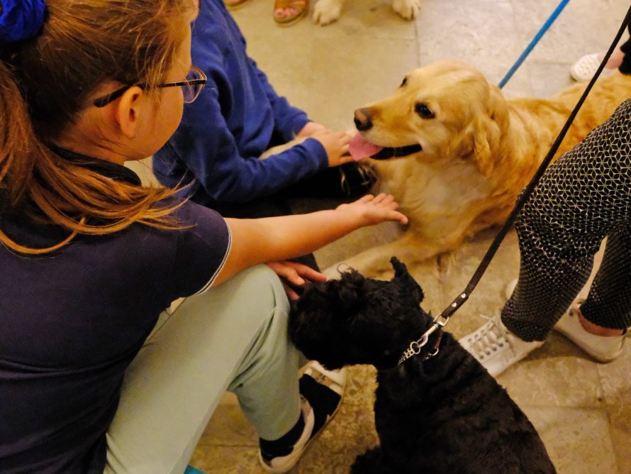 295999481_5650694148295256_4519607624589980155_n