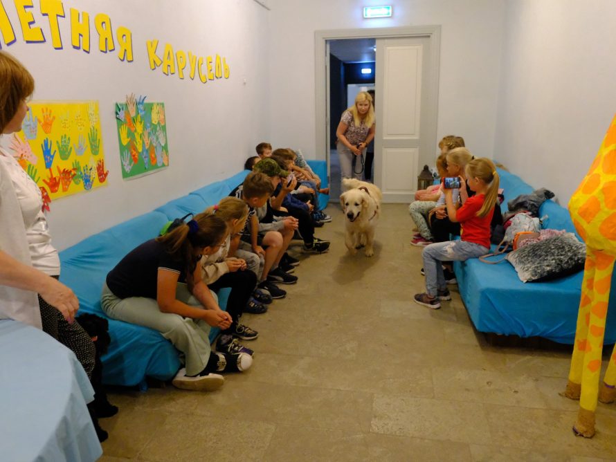 296104739_5650695308295140_2661681268150416769_n