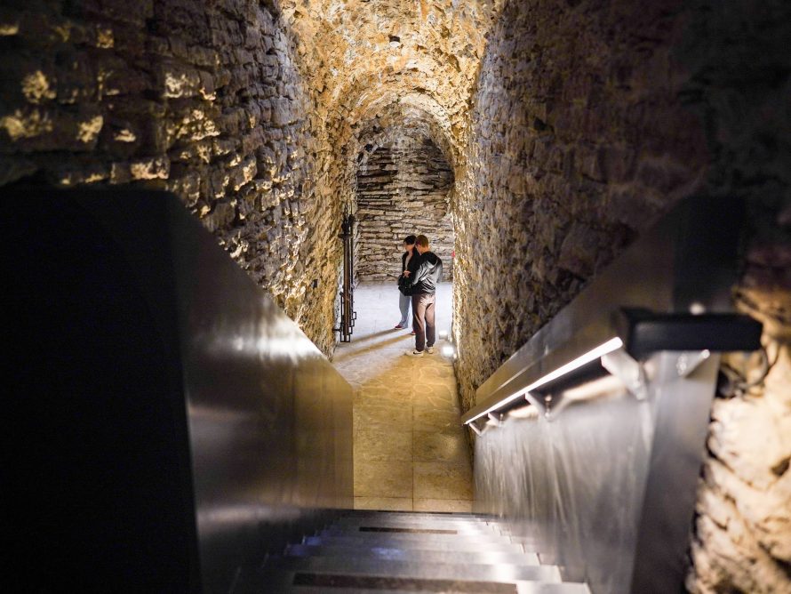 448883293_911606484313706_6076986482731101702_n